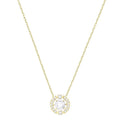 Genuine Swarovski Swarovski Gold Plated Sparkling Necklace 5284186