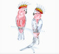 Genuine Swarovski Crystal PINK COCKATOOS  5244651 Brand New