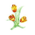 Genuine Swarovski Crystal TULIPS  5302530 Brand New