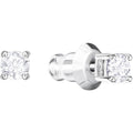 Genuine Swarovski Attract Stud Earrings 5408436