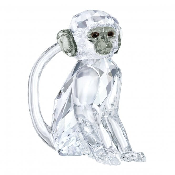 Genuine Swarovski SCS 2018 Vervet Monkey 5301552