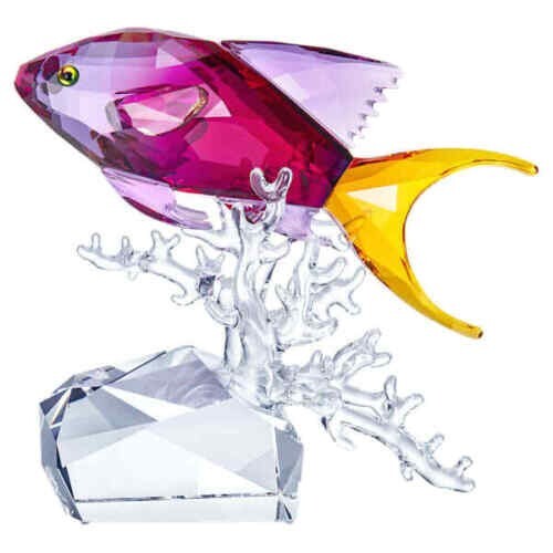 Genuine SWAROVSKI CRYSTAL PARADISE ANTHIAS FISH 5428651